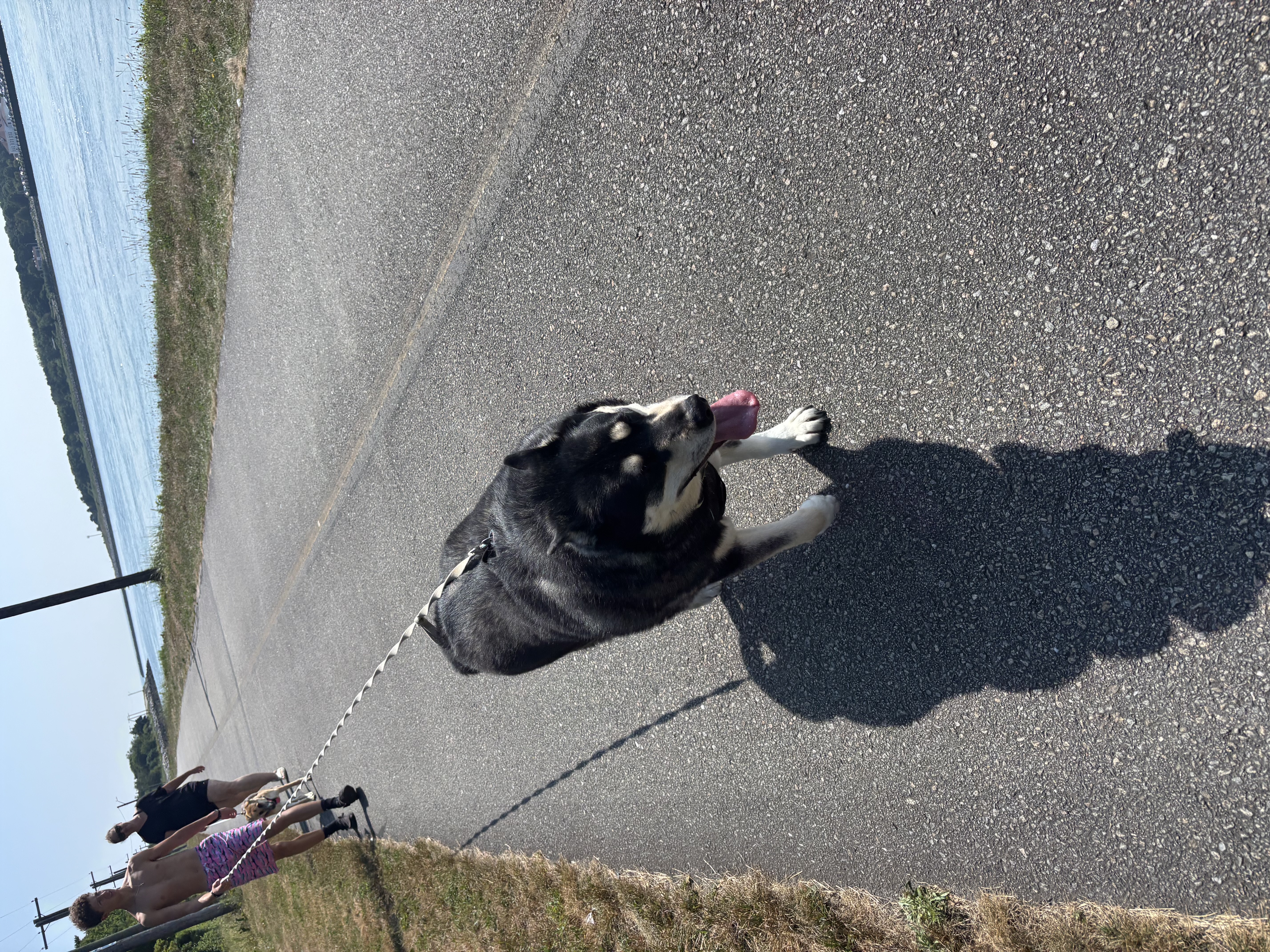walk