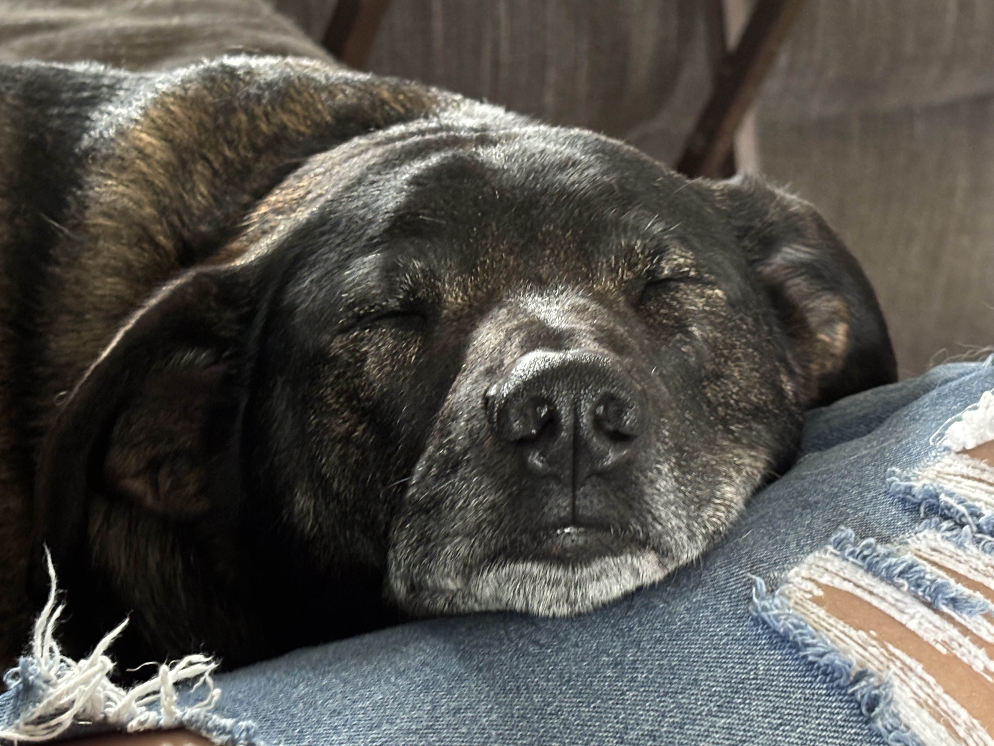 naps