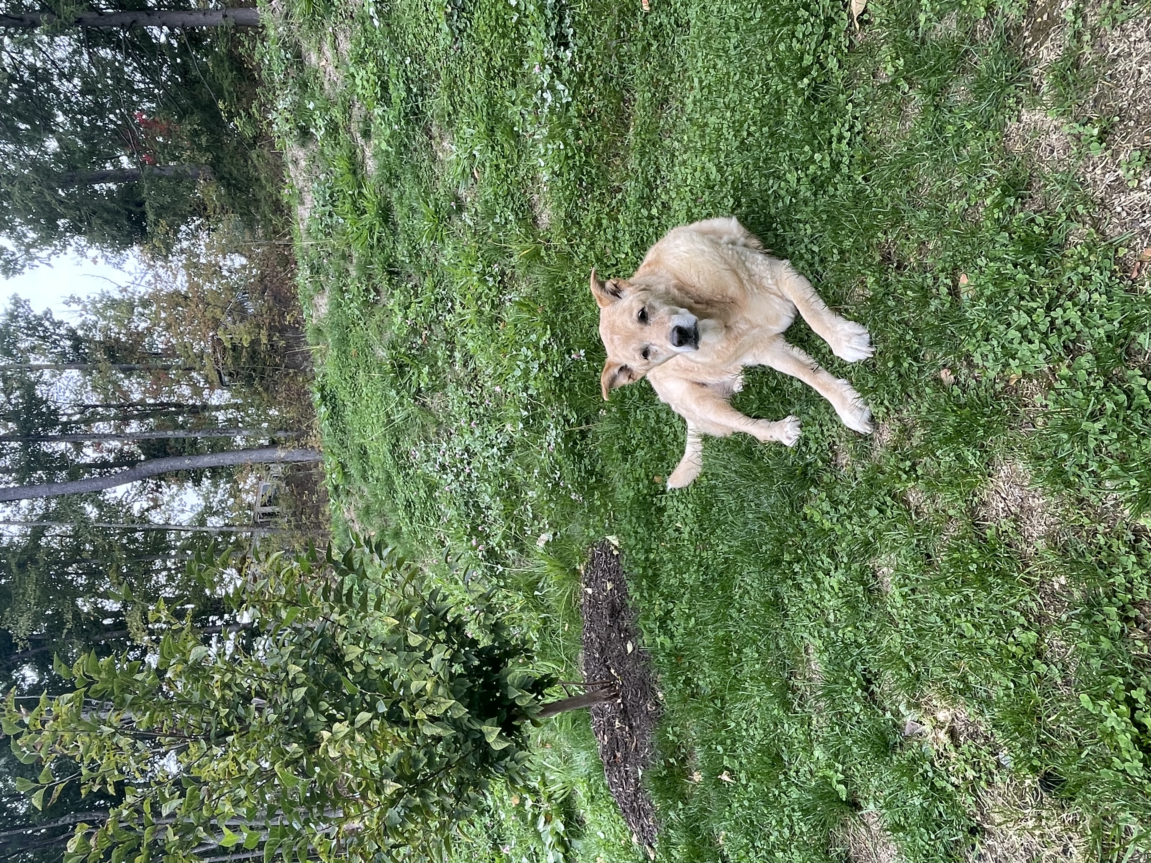 exploring