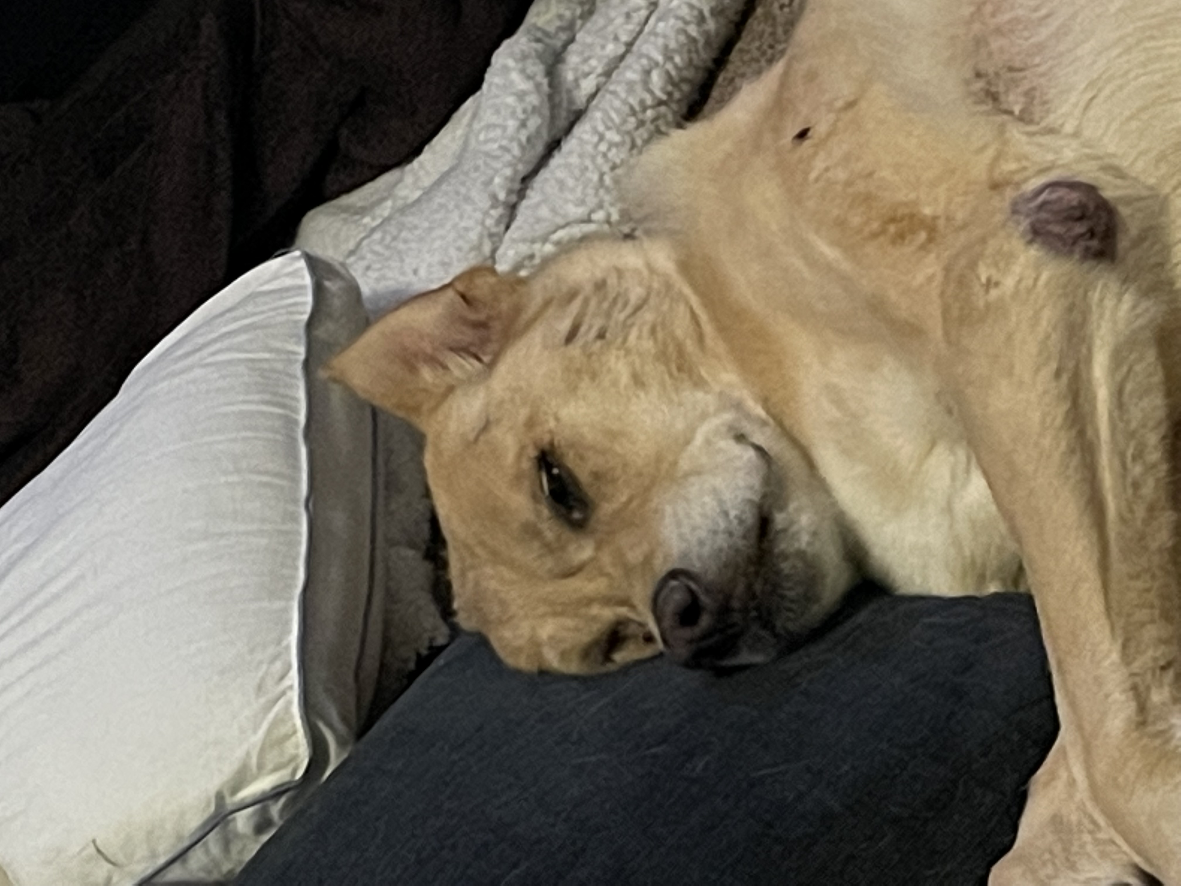 napping